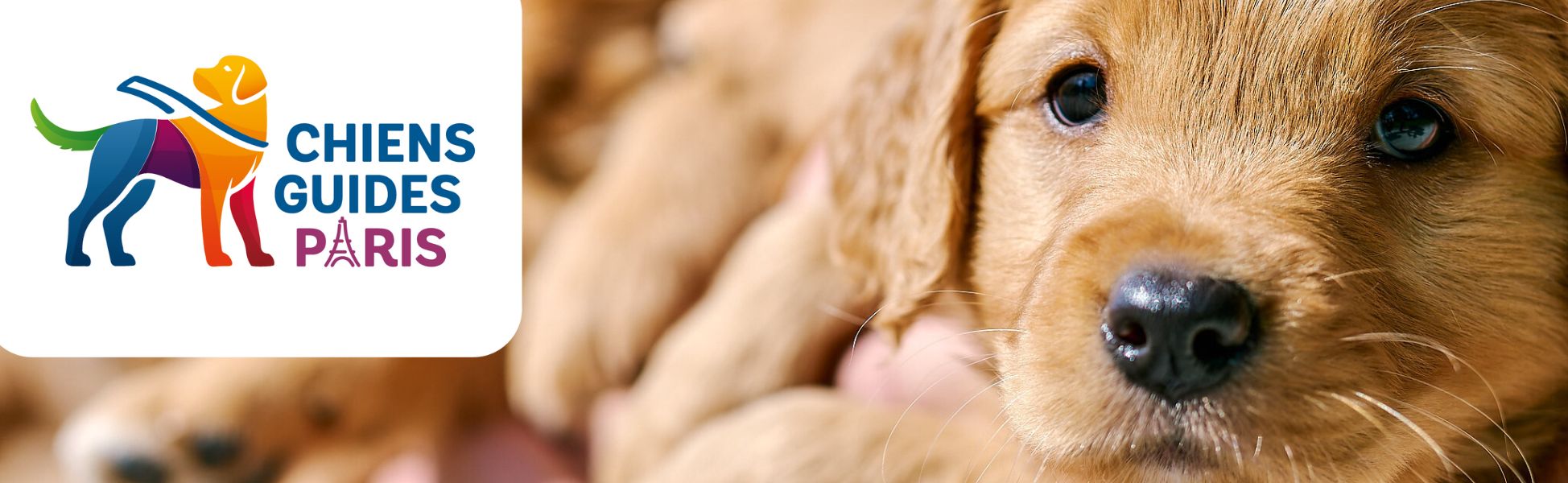 Logo école de chiens guides de Paris