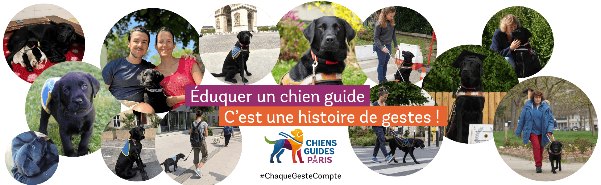 TEMPLATE bandeau desktop formulaire don (6)